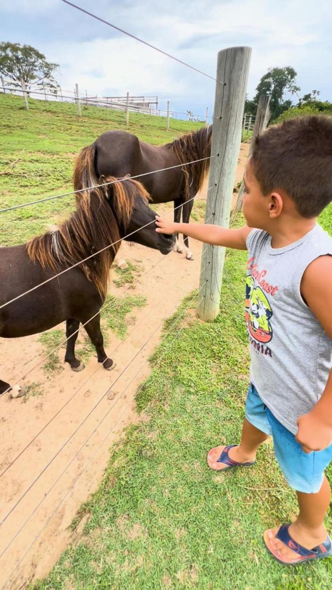 Hotel Fazenda Ararita ปอร์โต เฟลิซ ภายนอก รูปภาพ